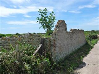 tide mills