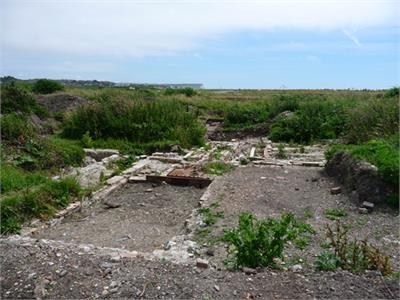 Tide Mills