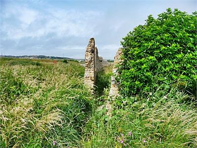 Tide Mills