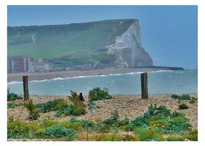 Tide Mills View